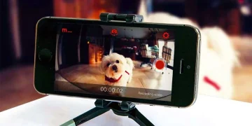 Transformá tu antiguo celular en una cámara de seguridad: la ingeniosa solución que revoluciona la vigilancia en casa