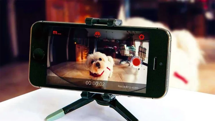 Transformá tu antiguo celular en una cámara de seguridad: la ingeniosa solución que revoluciona la vigilancia en casa