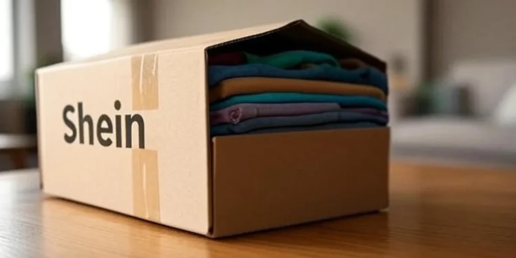 ¿Comprar en Shein desde Argentina? Descubrí los costos de envío y las restricciones que nadie te cuenta