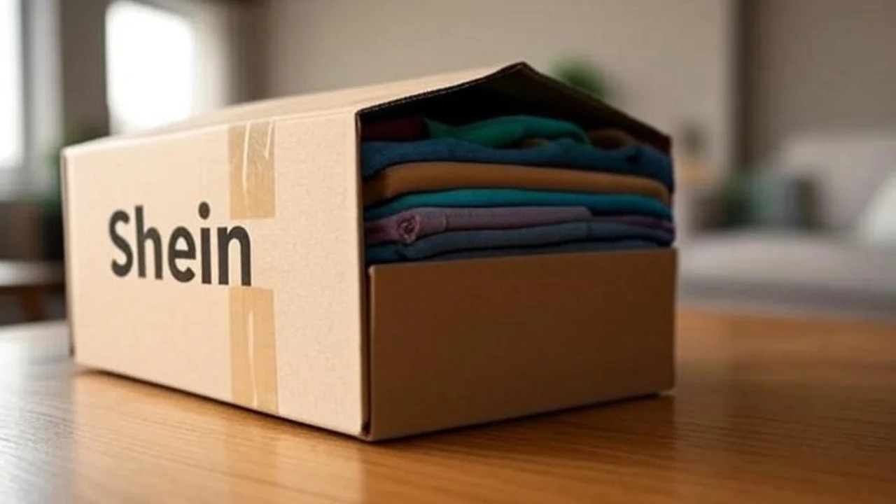 ¿Comprar en Shein desde Argentina? Descubrí los costos de envío y las restricciones que nadie te cuenta