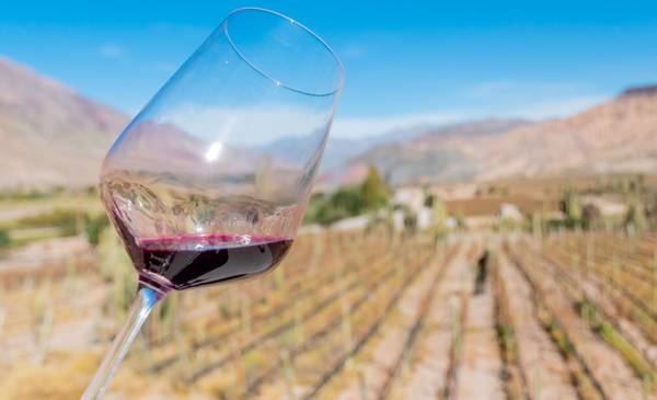 CyberWine 2025: Las claves para disfrutar de las mejores ofertas en vinos exclusivos y no perderte nada
