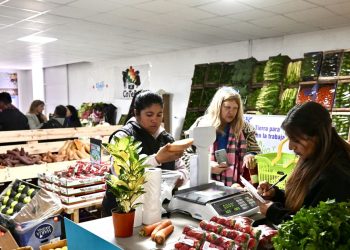 Descubrí las nuevas promociones irresistibles en Mercado Bonaerense: descuentos imperdibles con Cuenta DNI en La Plata esta semana