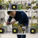 Histórico récord de ingresos para mineros de Bitcoin: Así superaron un arranque de año desafiante
