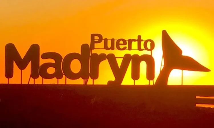 Los imperdibles descuentos para explorar las maravillas de Madryn: tarifas congeladas por tiempo limitado