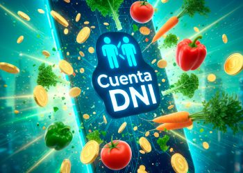 Cuenta DNI y Banco Provincia: el secreto para ahorrar hasta $85.000 en alimentos y compras este febrero