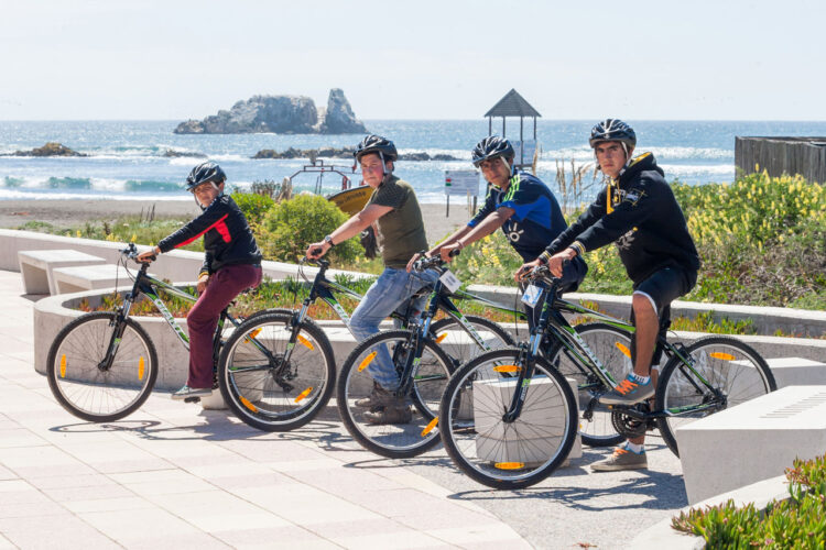 Bicicleta MTB Overtech Q6: Rendimiento y Estilo en Oferta