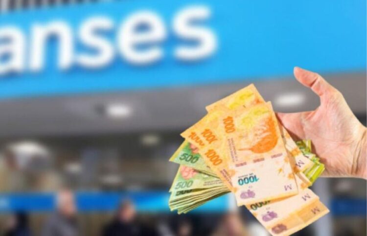 Créditos Anses de hasta $5.000.000: cómo calcular las cuotas