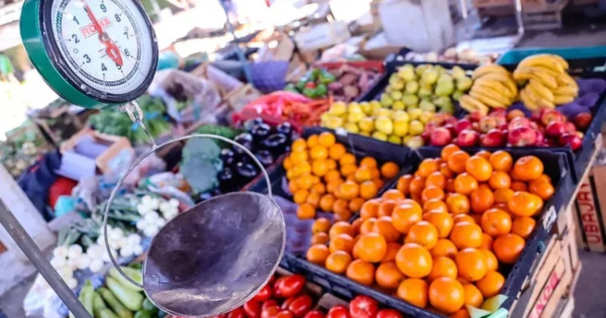 Descubre la Gran Rebaja: El Precio de Esta Fruta Cayó $6.000 en Solo Una Semana