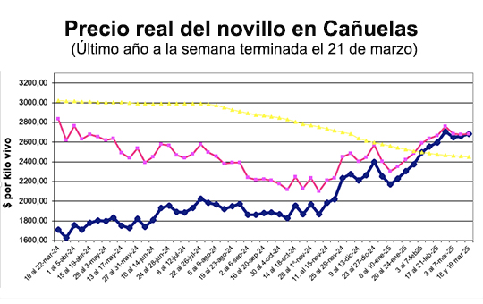 Cañuelas: Las Cotizaciones se Mantienen Estables por Segunda Semana Consecutiva ante Aumento de Oferta