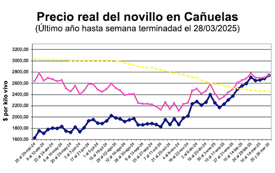 Aumento de Precios y Escasez de Ofertas Impactan a Cañuelas Esta Semana: Lo Que Necesitas Saber
