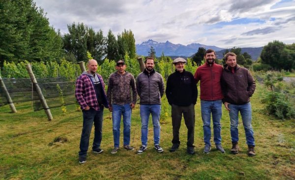 Descubre el Viñedo Baruk: el Novedoso Proyecto de Ingram para Revolucionar el Enoturismo en la Región - Últimas Noticias en El Chubut