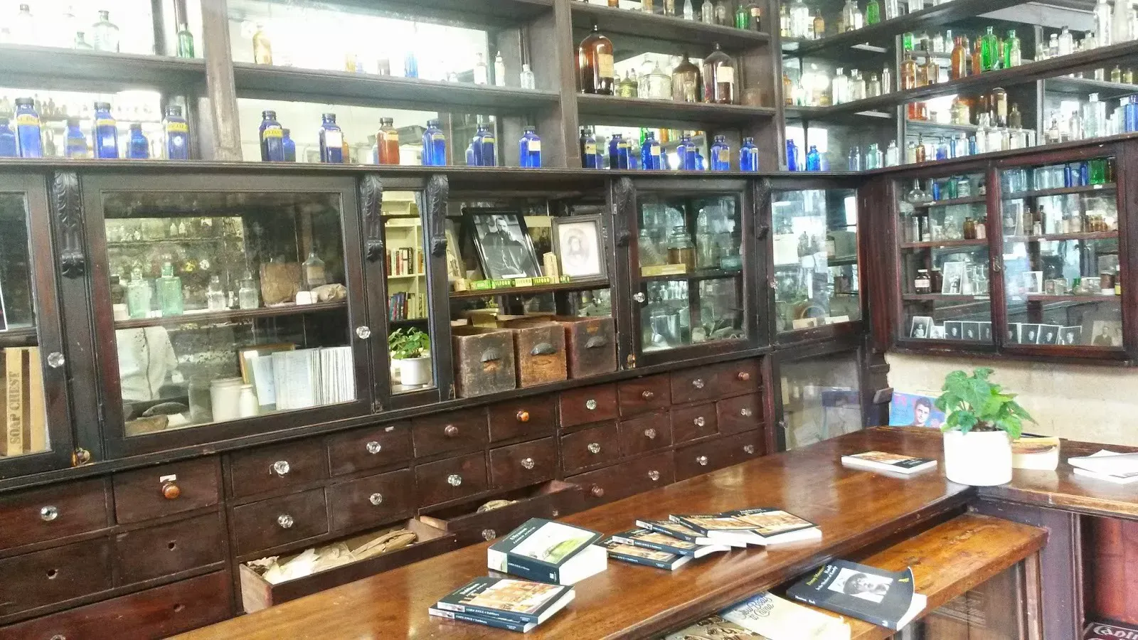 Descubra por qué los precios de medicamentos con código QR en farmacias no ofrecen descuentos por cobertura