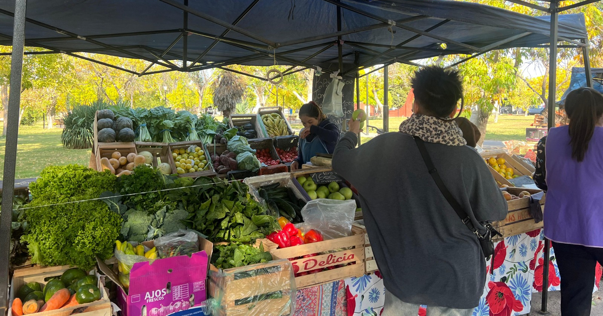 Ofertas Exclusivas de Pescado y Verduras para Semana Santa en la Feria Franca Municipal: ¡Descuentos Imperdibles!