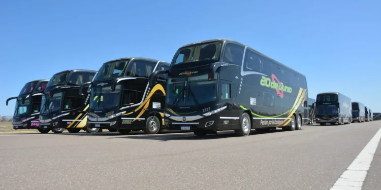 Hot Sale en pasajes de Micro ¿conviene o no conviene comprar esta semana?