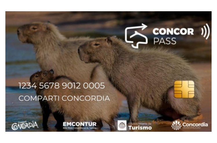 Increíble beneficio para turistas en Concordia: ¡Descubrilo!