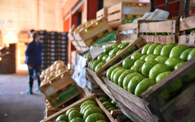 ¡Sorpresa! Descubrí las ofertas secretas del Mercado Regional