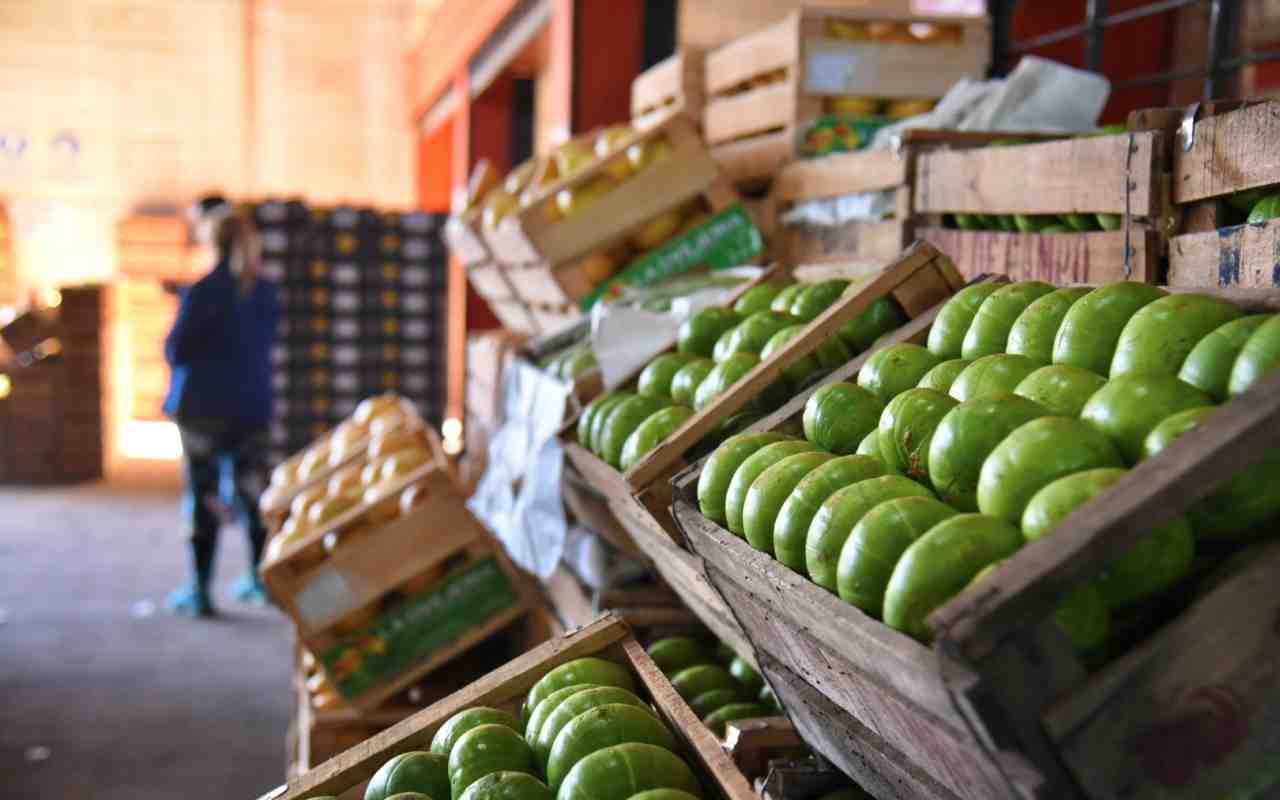 ¡Sorpresa! Descubrí las ofertas secretas del Mercado Regional